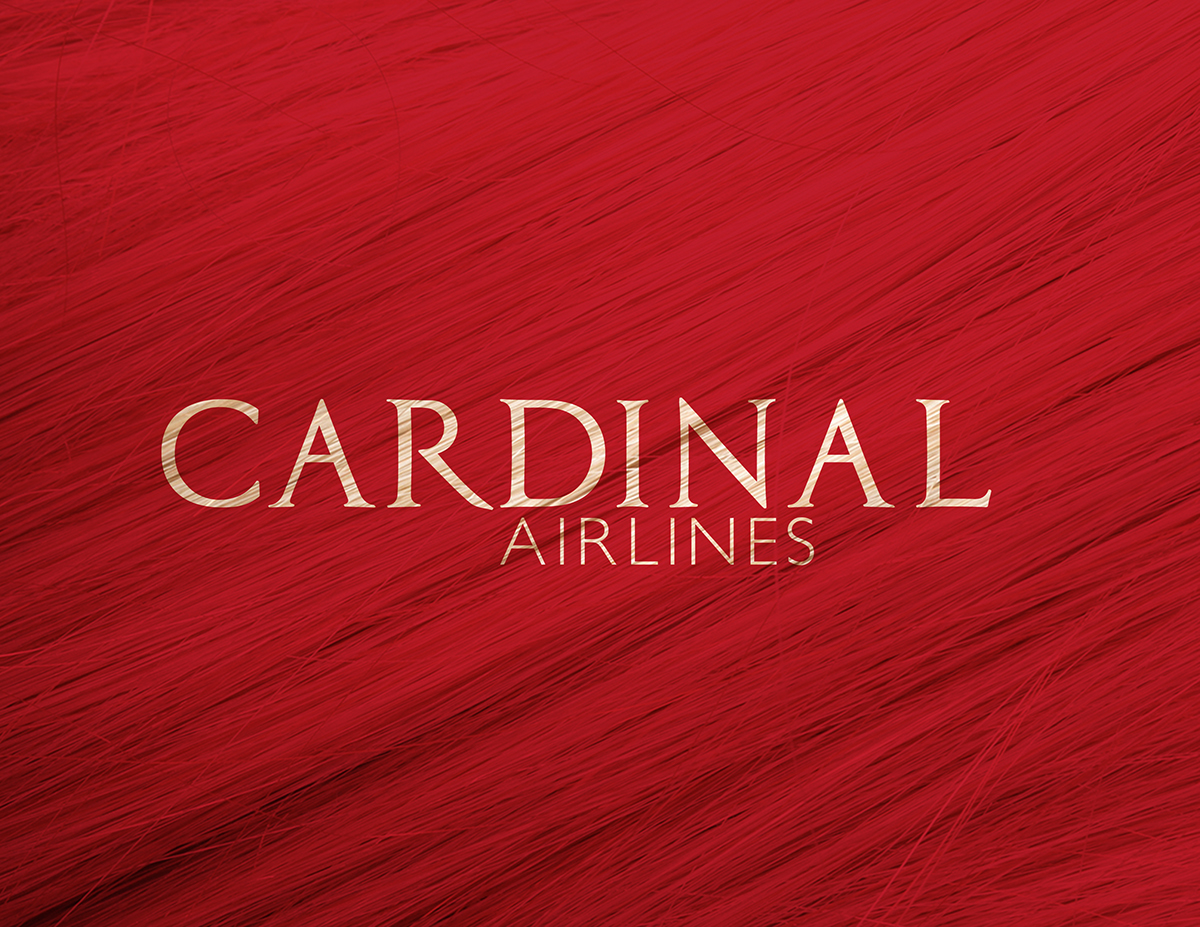 cardinal airline Airlines plane planes design concept bird SCAD