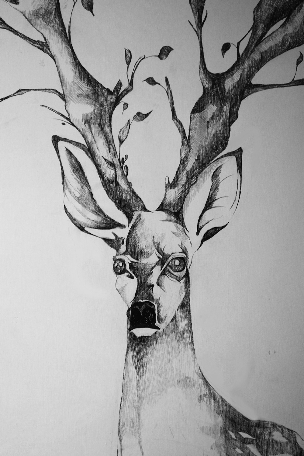 deer stag Tree  antlers deer antlers  Behance amal uppal sketch pencil wall art