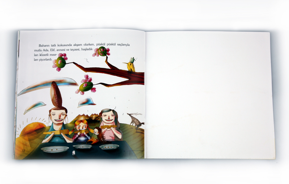 new children book book ADA Island hair little girl Baby Doll doll dolly aunt mother mom Illustrator
