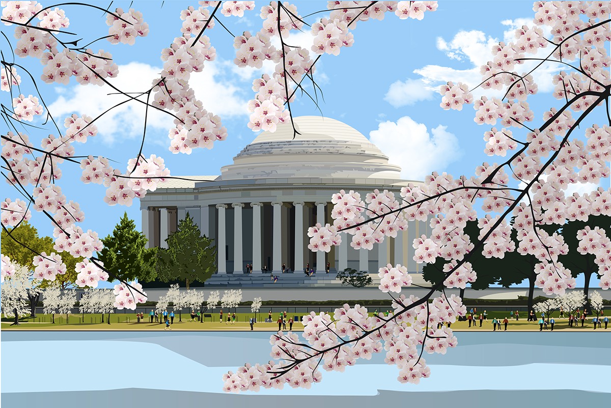 Illustrator Custom tracing digital imaging  Cherry blossoms washington dc