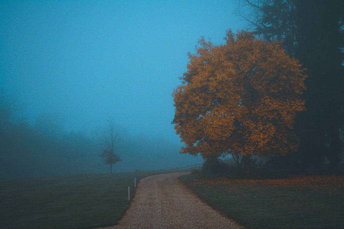 image fog landscapes pretty english english landscapes