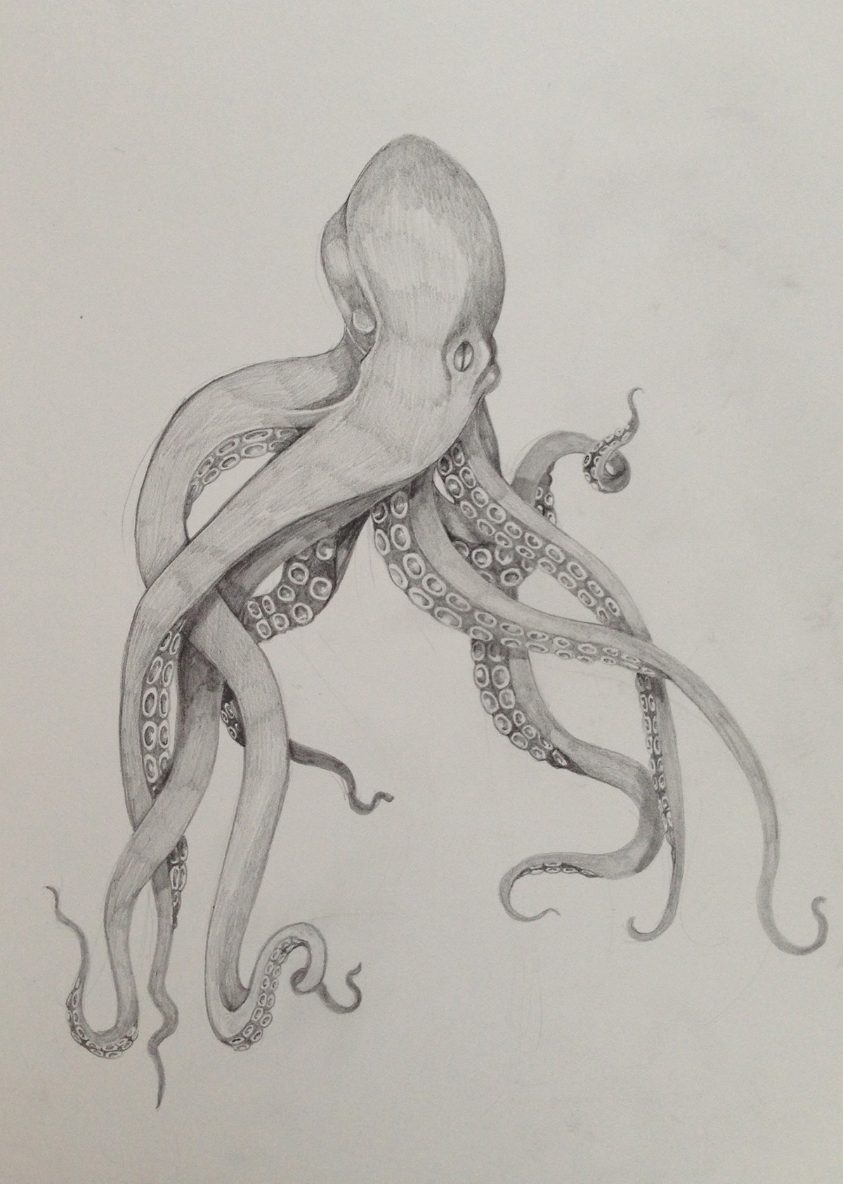 tattoo Nature octopus Ocean