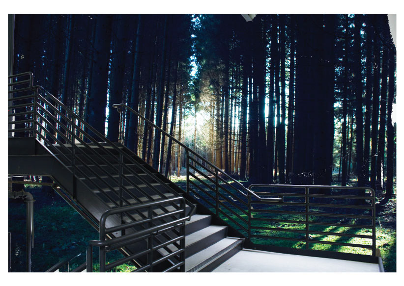 enviornmental design Wall Graphics design Staircase Nature