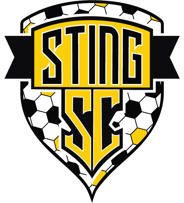 logo Logo Design soccer bee sting Sports logo brand identity soccer team logo