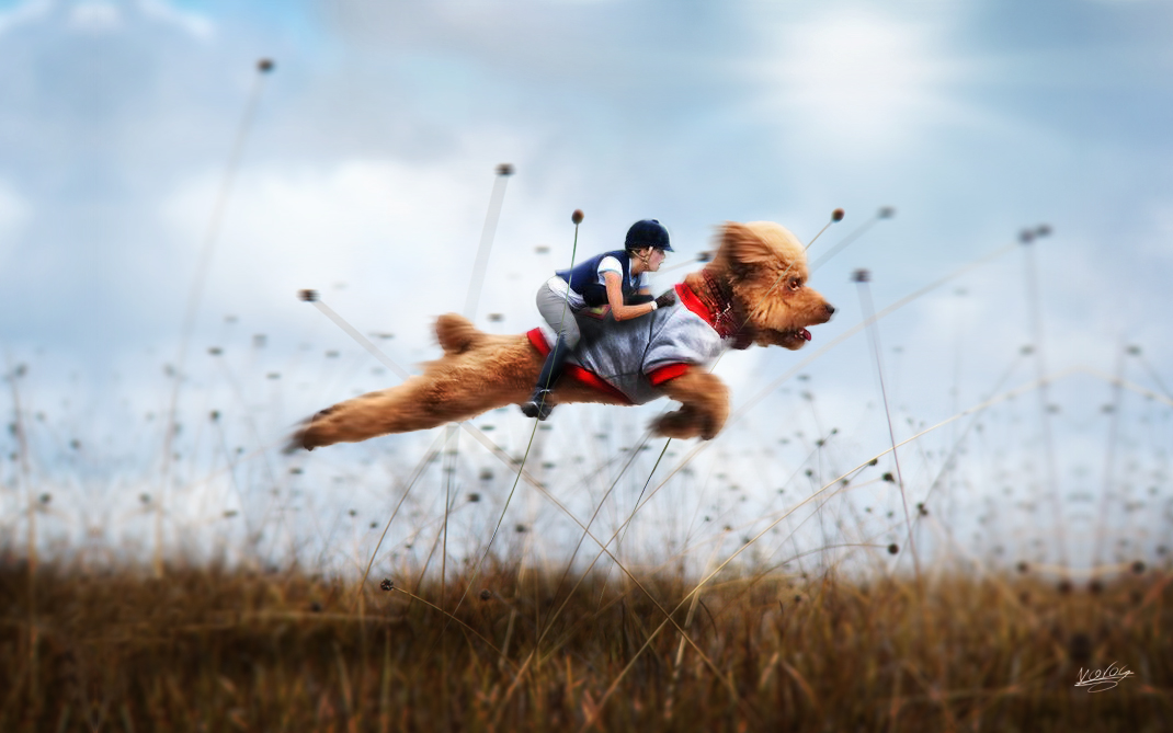 fantasy journey dog Flying girl