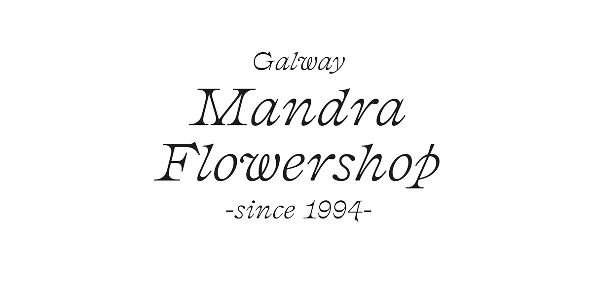 Flowers flowershop art direction  fotography red sober photography direction typography   graphic design  stationary