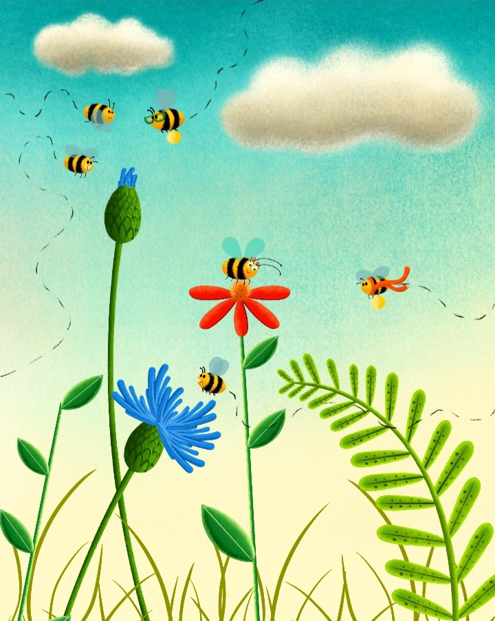 book bee kids Ecology ILLUSTRATION  Illustrator włodarski daniel
