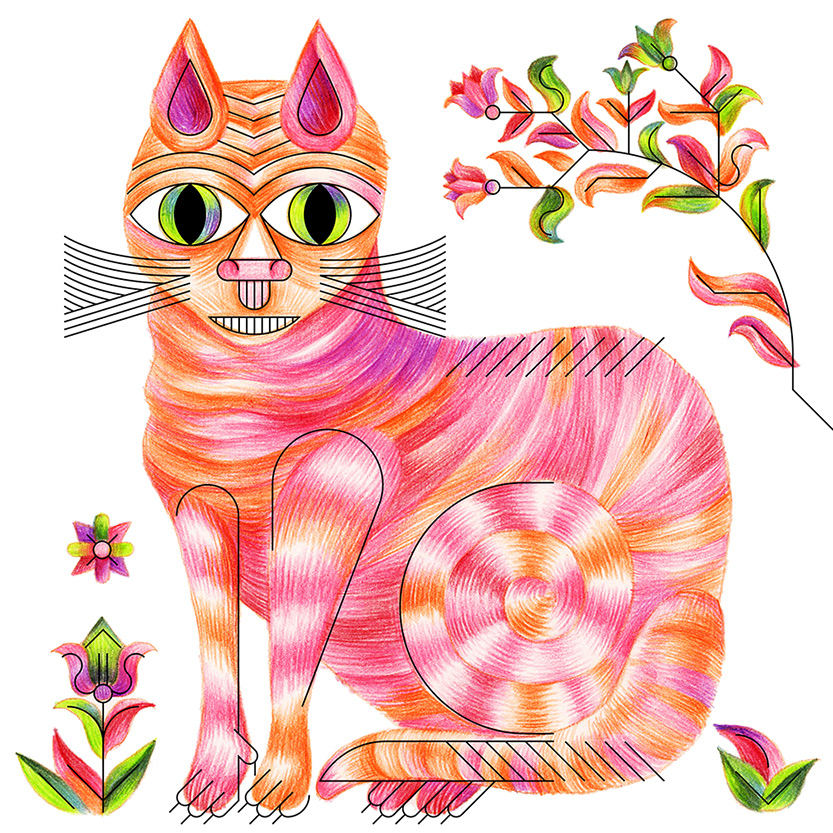 Cat vector colored pencils pink Flowers Contour line gradient eyes