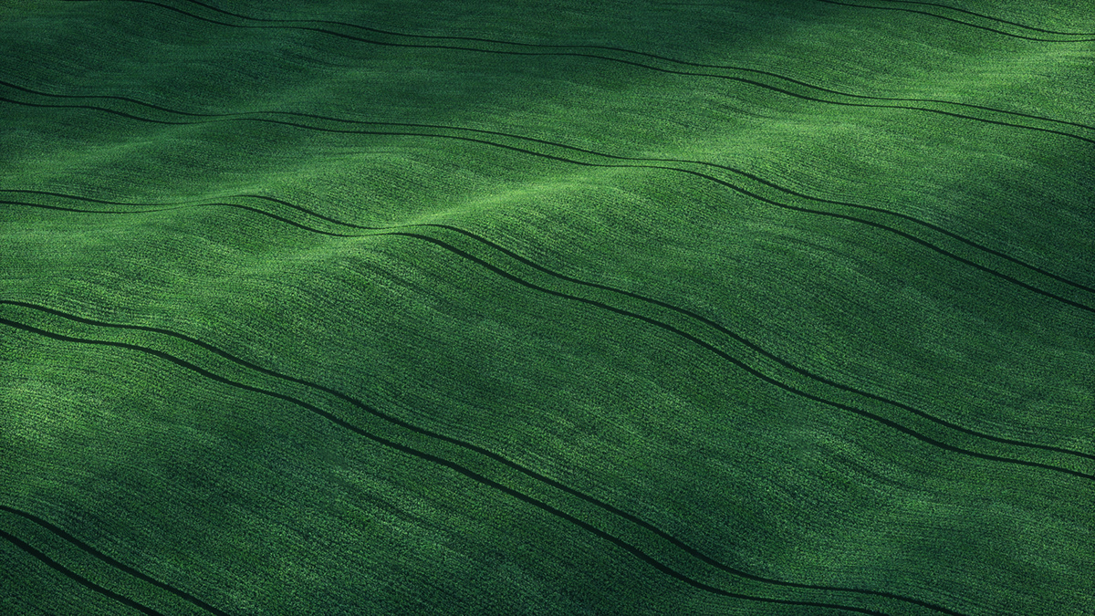 grass field cinema4d octane c4d 3D vfx animation  CGI texture