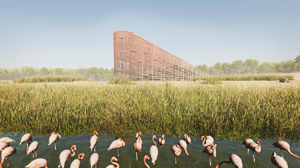Abu Dhabi Al Wathba Wetland reserve bird-watching desert flamingo nesting Observation Tower wetland Adobe Portfolio