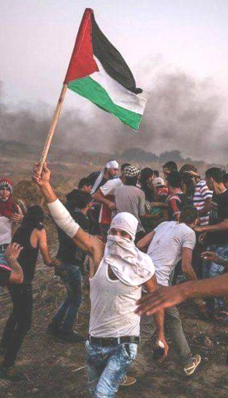 freedom free occupation gaza gazaunderattack فلسطين القدس غزة palestine War