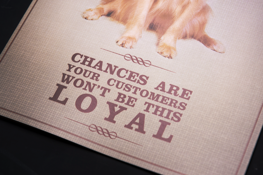 Invitation print SDMA event invitation dog loyalty direct marketing association