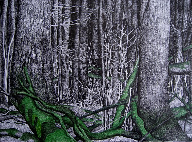 trees  pen and ink  black and White  bristol board  Pigment Ink  Adorio