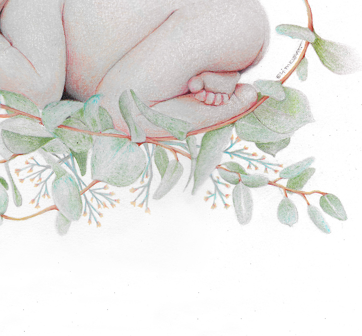 retrato portrait commission Encargo dibujo ilustracion ILLUSTRATION  baby boranical botanicalart