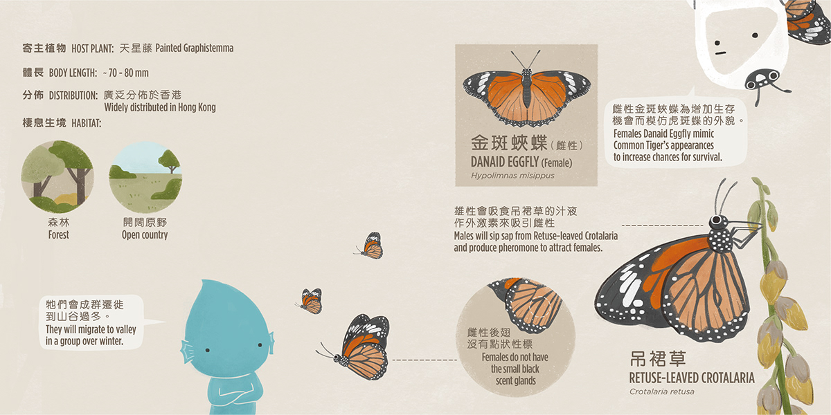 book design flower infographic insect Layout life live science Plant science Park