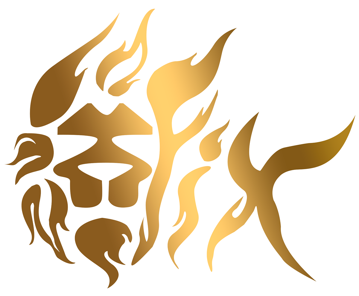 fire fireshow logo Logotype lion design identety brand Show fix graphik Web Webdesign art rebranding