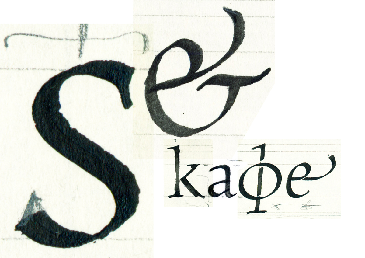 sapienza Humanist type design family Calligraphy   Typeface Typefamily font Renaissance