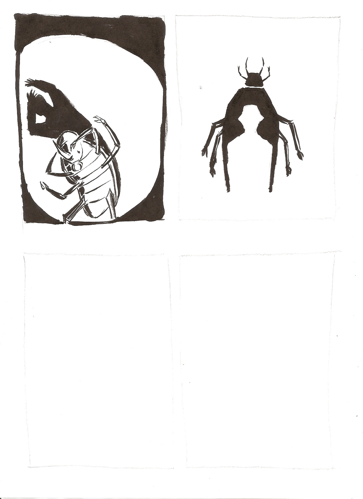 #cover   #ink #metamorphosis  #bookcover #bug #illustration