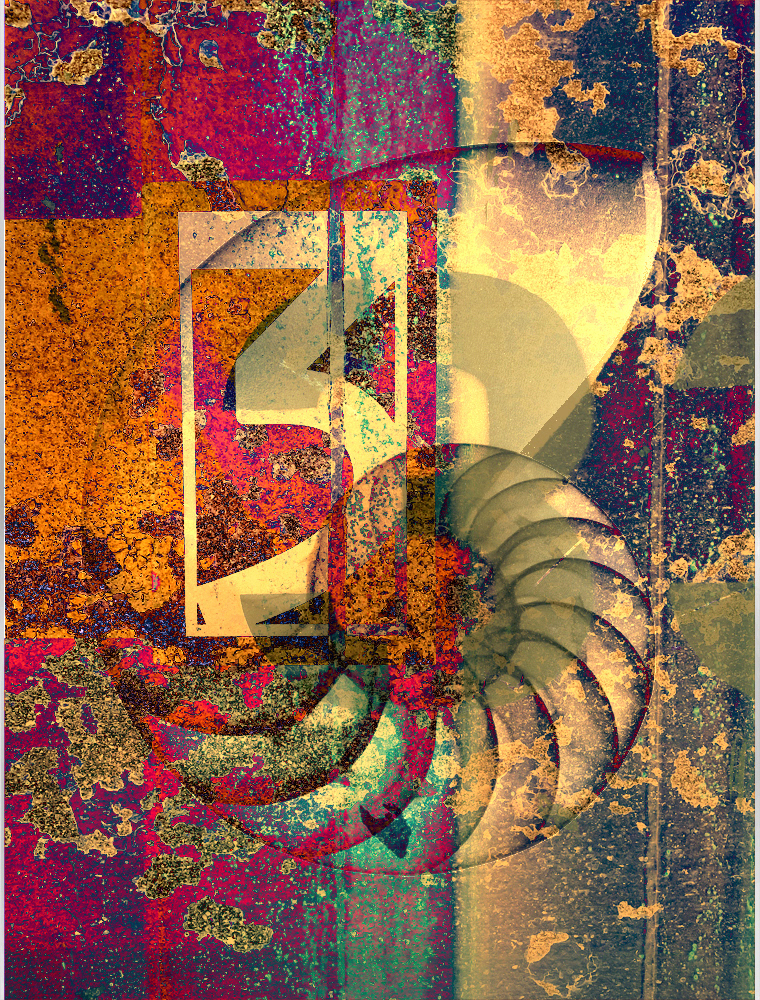 nautilus Nature Overlay gritty Urban layers Digital Art  colorful artwork xray