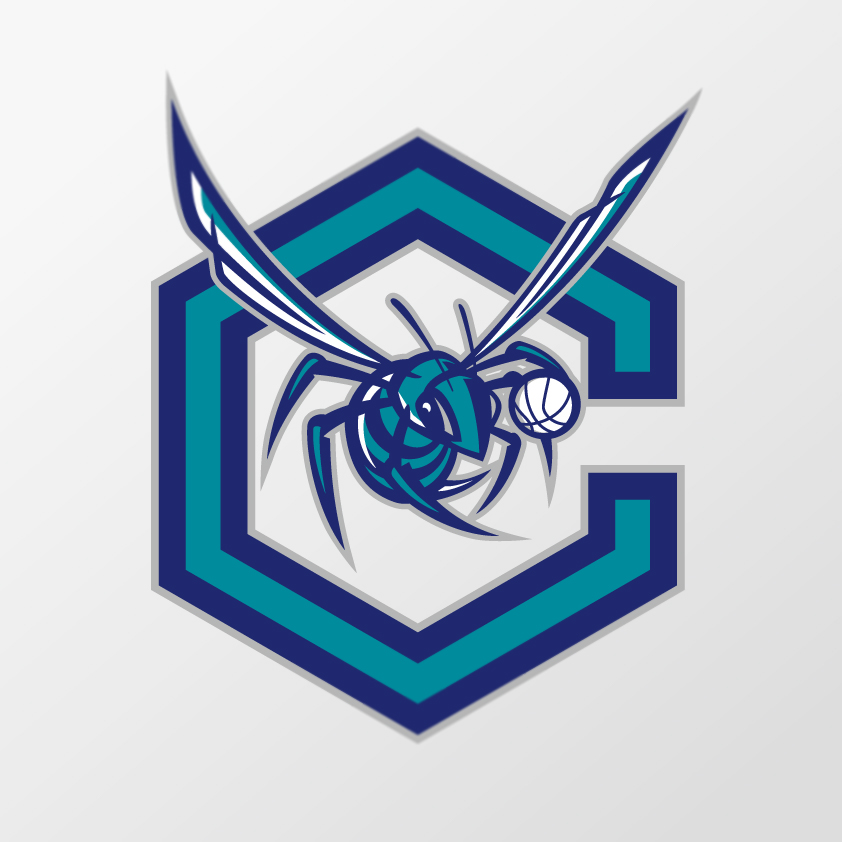Charlotte hornets sports Sports logo Sports Identity bee redesign concept NBA basketball