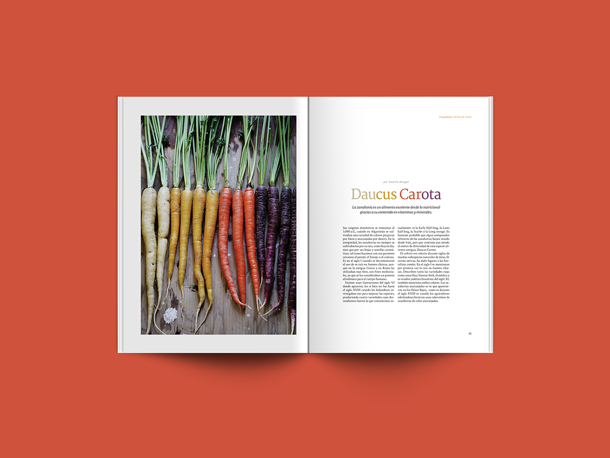 magazine Nature organic typography   Food  healty Photography  vegetables desing editorial