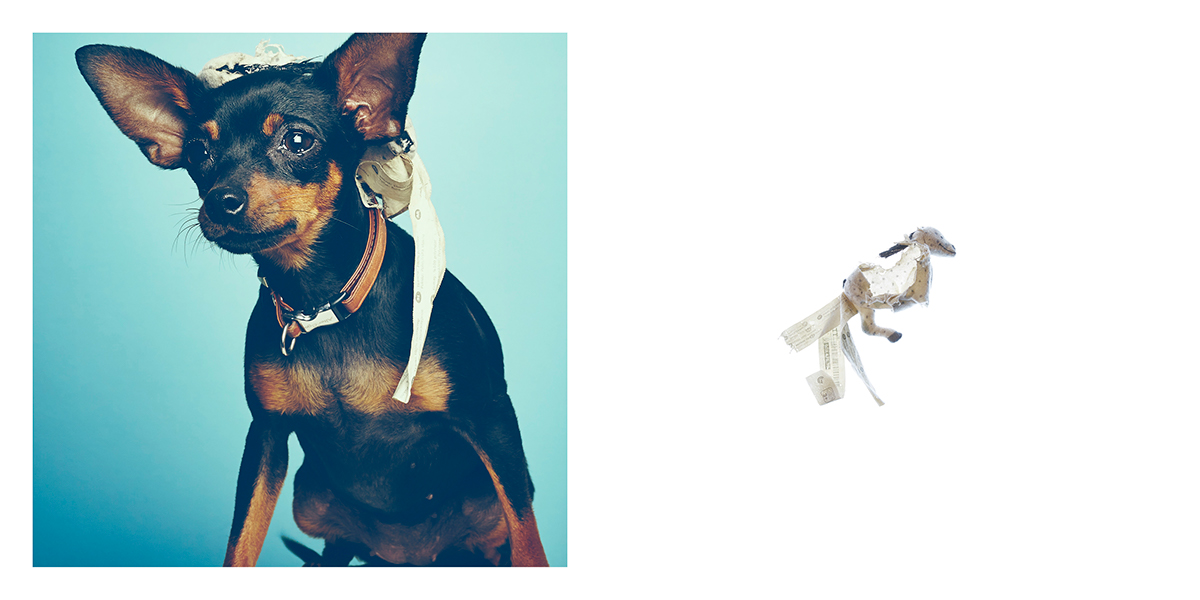 Adobe Portfolio portrait Serie diptyque diptych Photography  chilhood