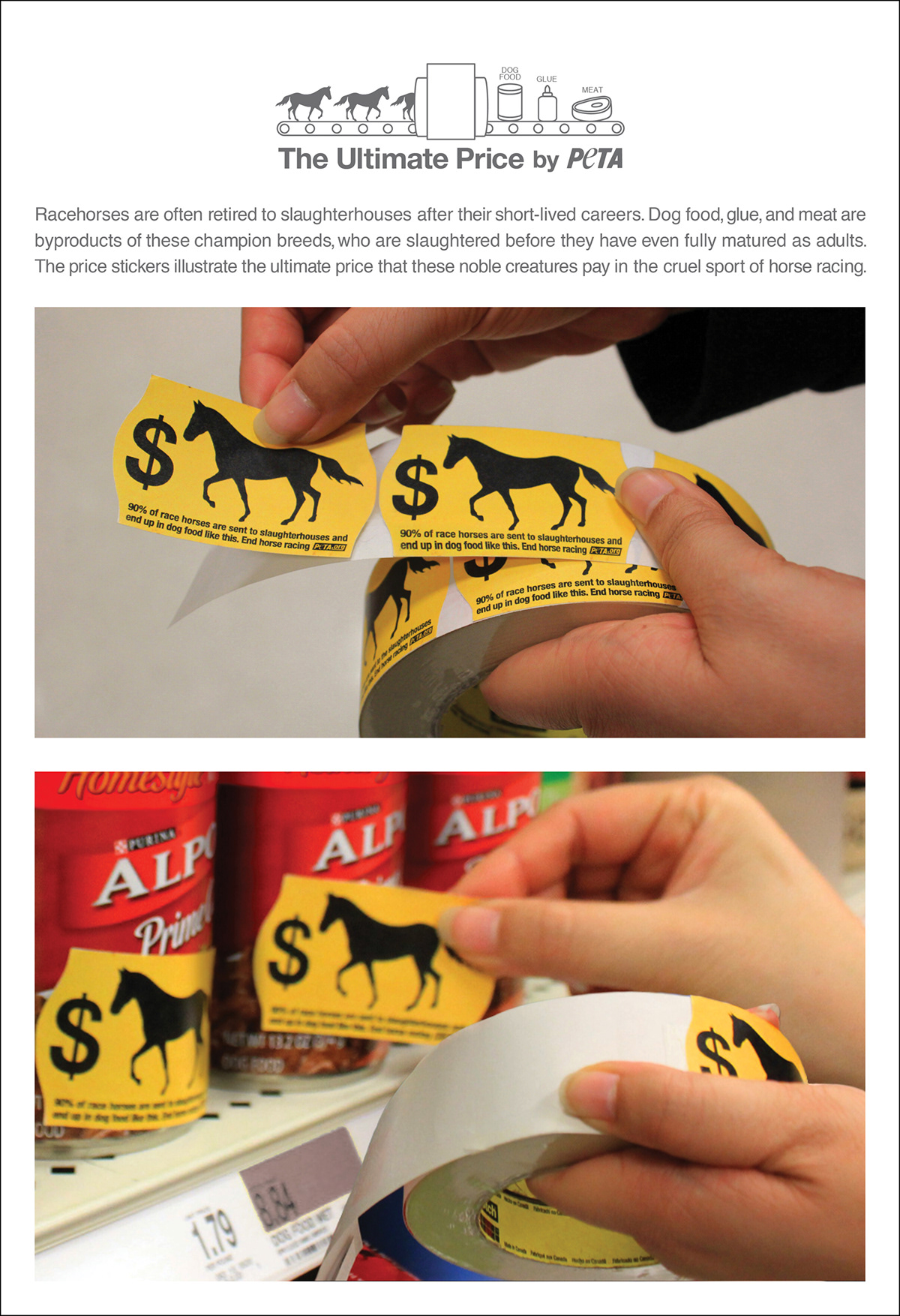 Peta Horse racing price sticker Guerrilla Advertising guerrilla dog food Glue meat