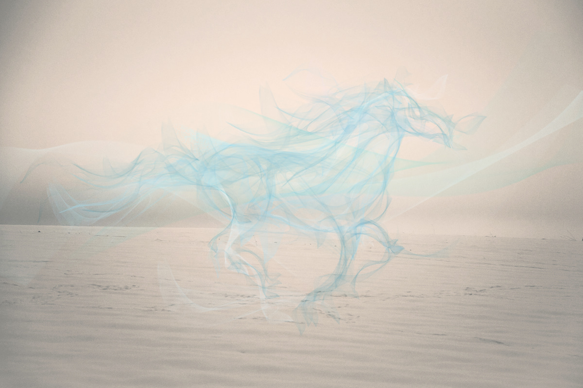 horse wind blue pink