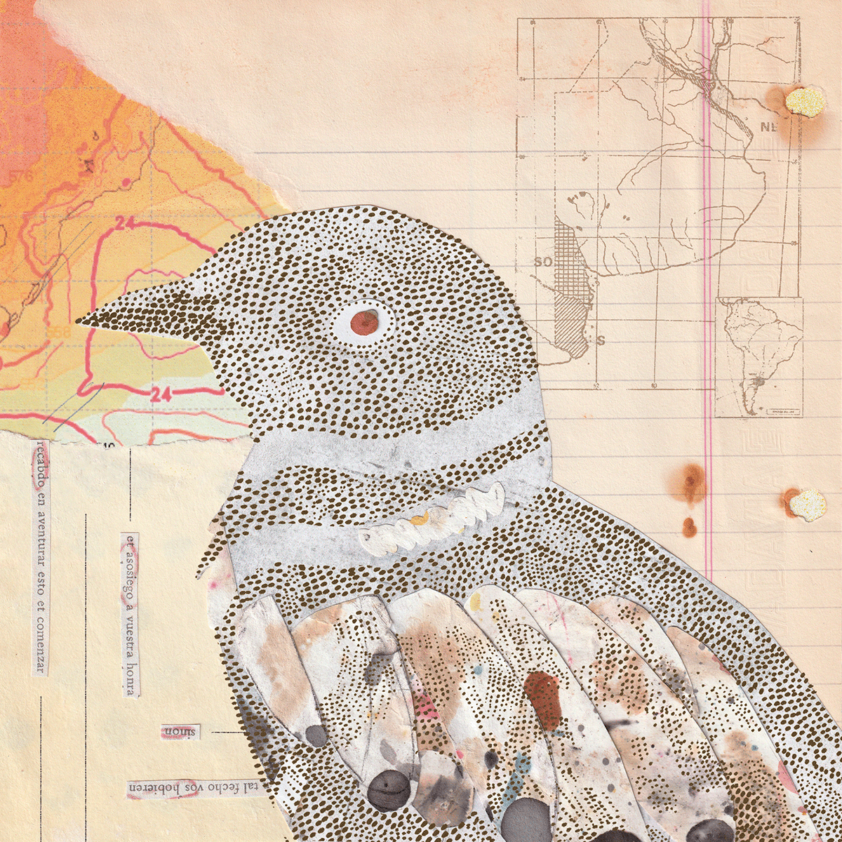 bird songbird Gabriele collage grabado stencil woodcut ILLUSTRATION  fadu diseño gráfico