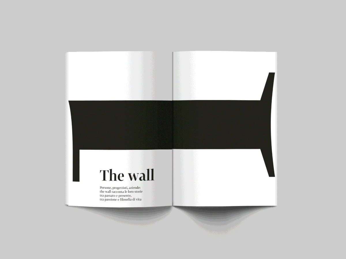 magazine design graphic Layout typograhy ILLUSTRATION  Photography  cover book