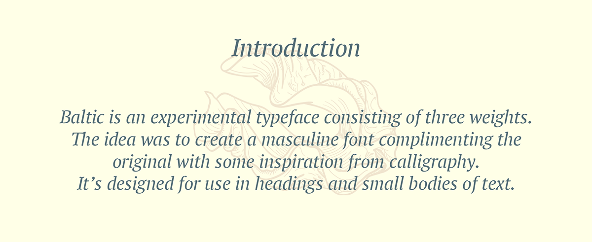 font Typeface experiment type Display conceptual