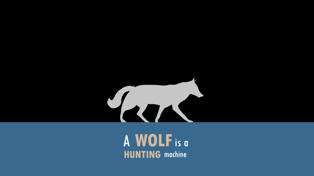 motion graphic infographic dog wolf evolution
