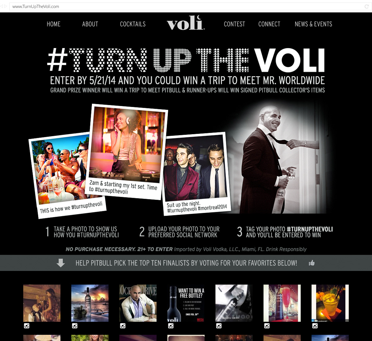 parallax Responsive Website Vodka voli music party