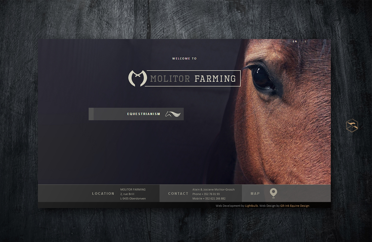 agriculture equine horse Cattle farming farm gr-ink design Website sleek modern equestrian quarter horse machines feed