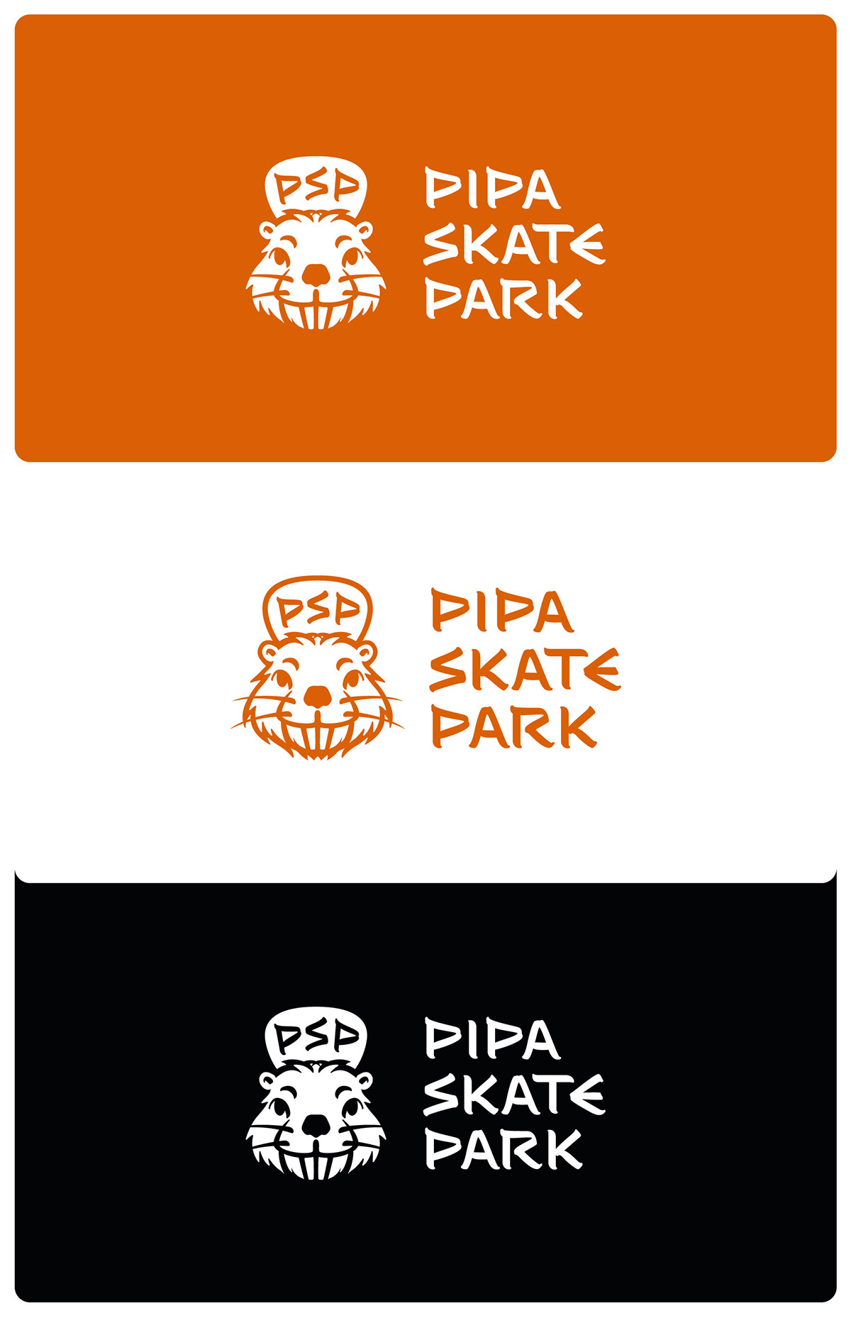branding  visual identity graphic design  skateboard Street Surf ILLUSTRATION  typography   Brand Design skate