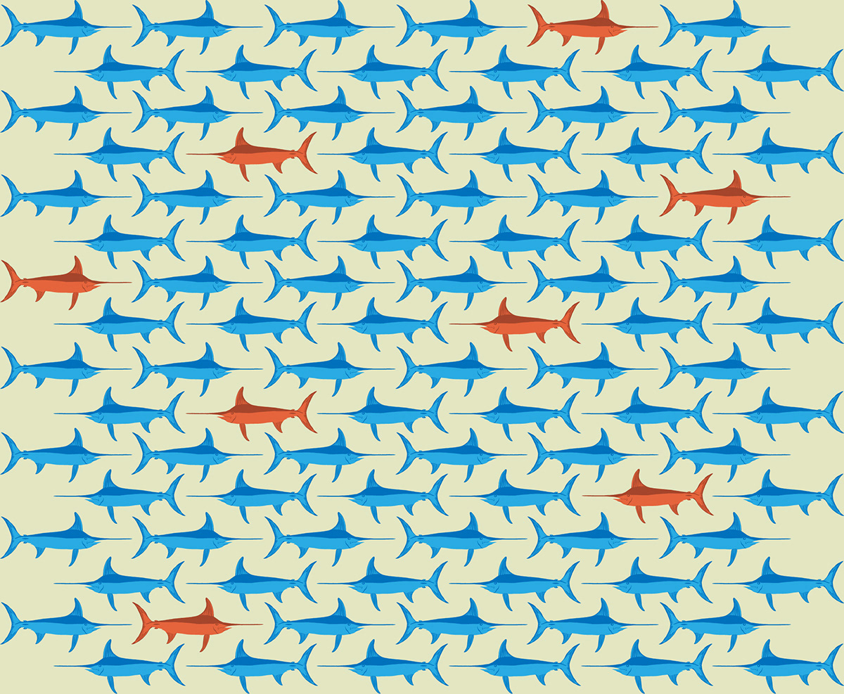 Sword fish Ocean sea pattern water blue marlin fin tail animal Nature creature Gills aquatic
