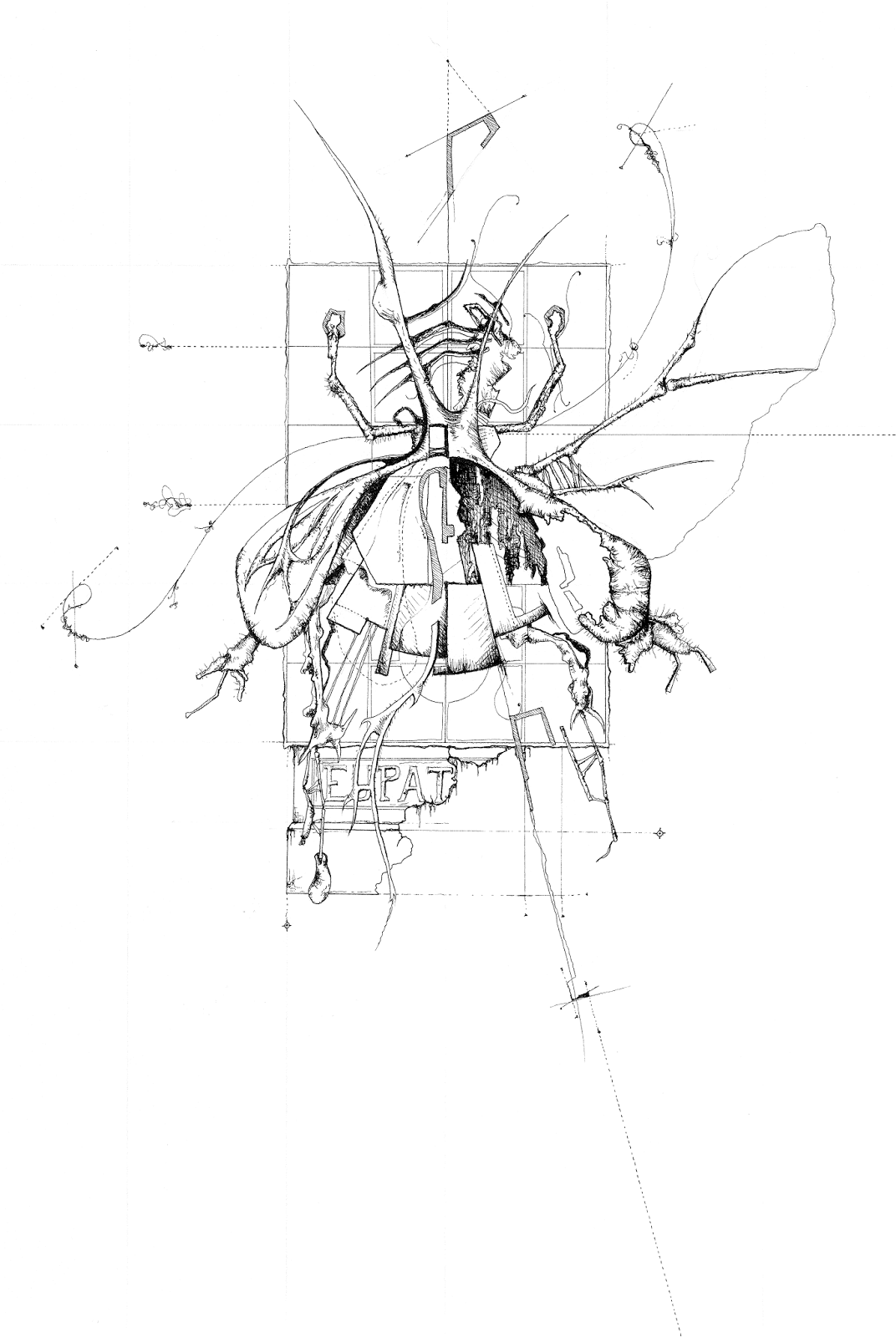 art design pen and ink bugs entomology context deconstruction research
