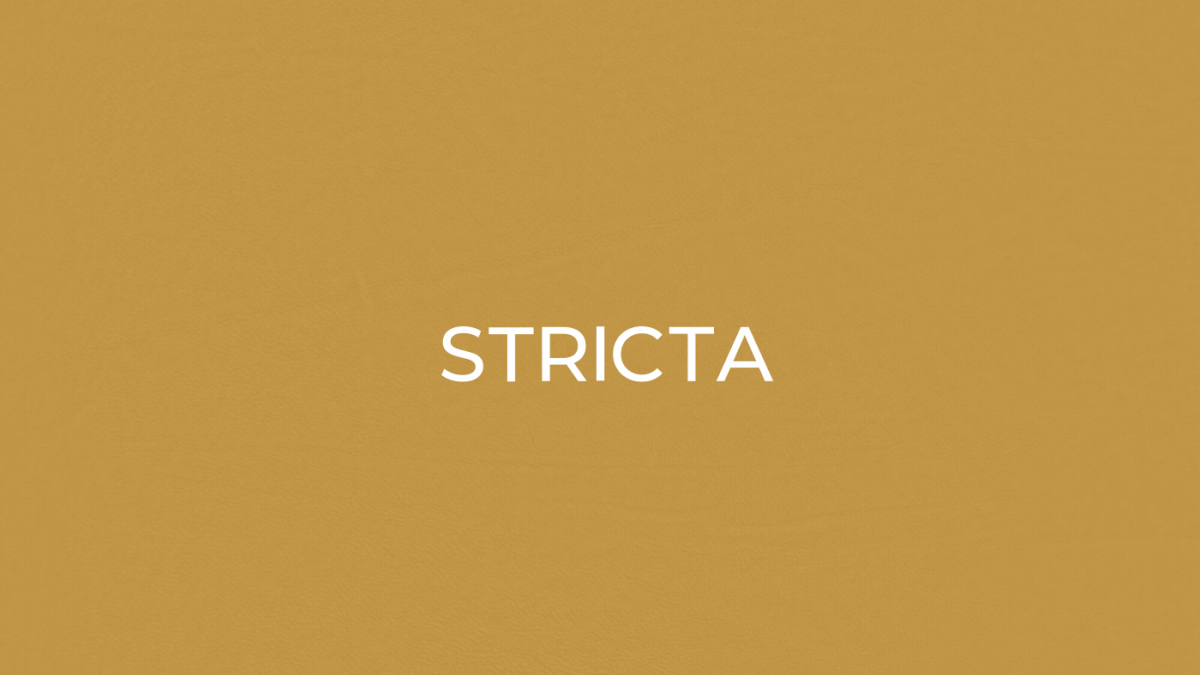 branding  brand identity identity graphic design  logo 3D design process concept Stricta motion