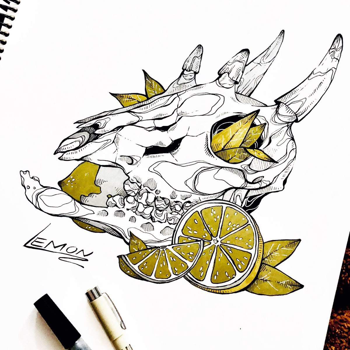 inktober traditional art skulls tea Pentel pen and ink gold sketching ILLUSTRATION 