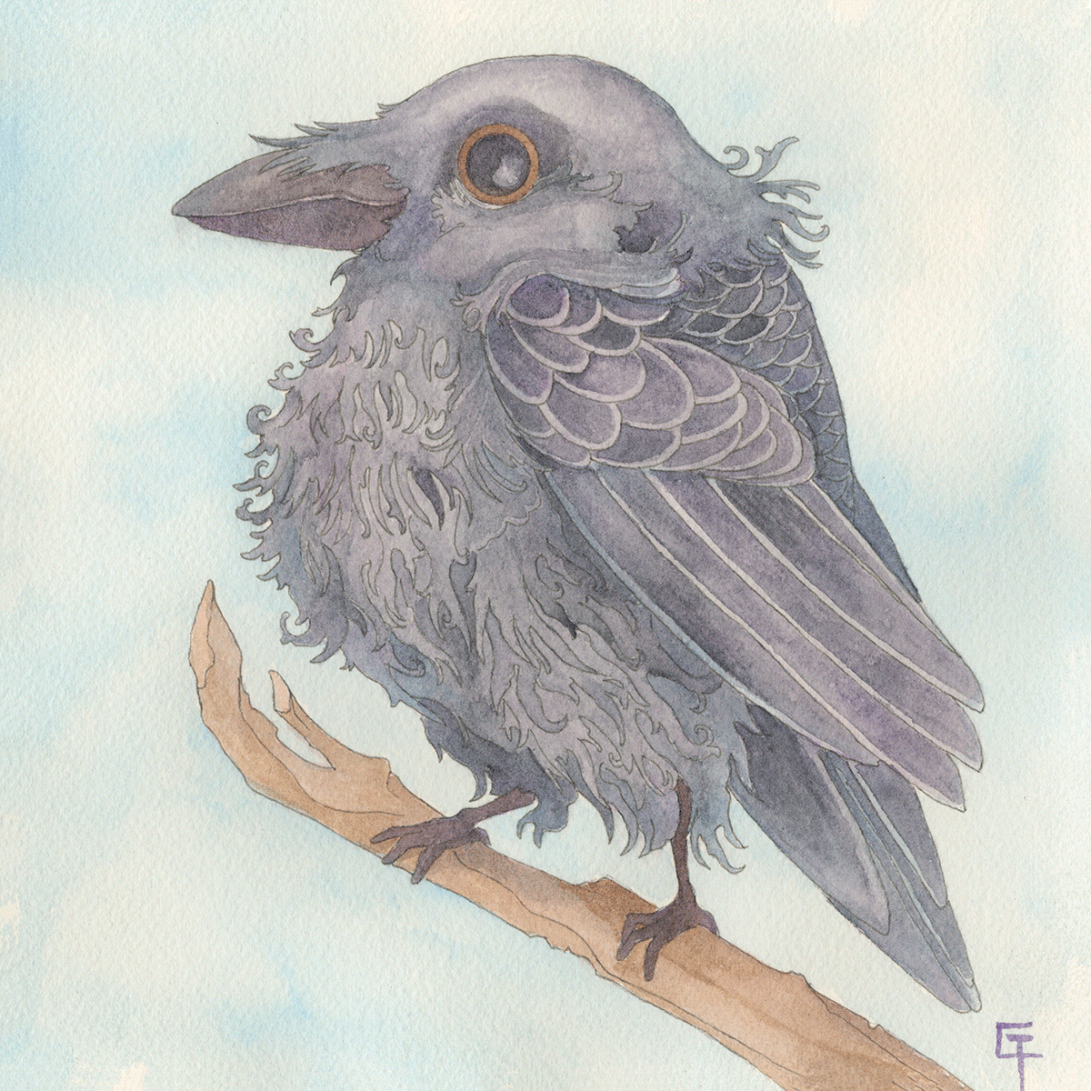bird crow ILLUSTRATION  watercolor whimsical