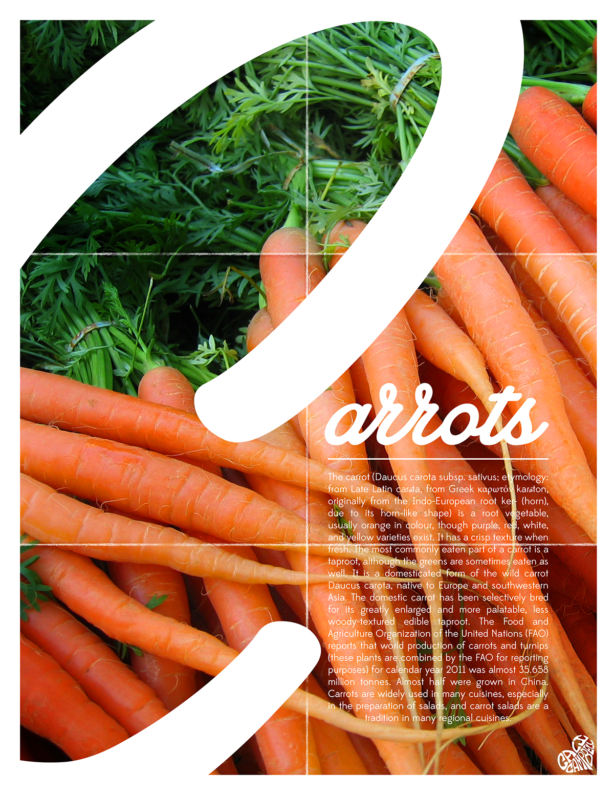 carrots poster type large letters graphic Fruit vegtable veggies Wikipedia