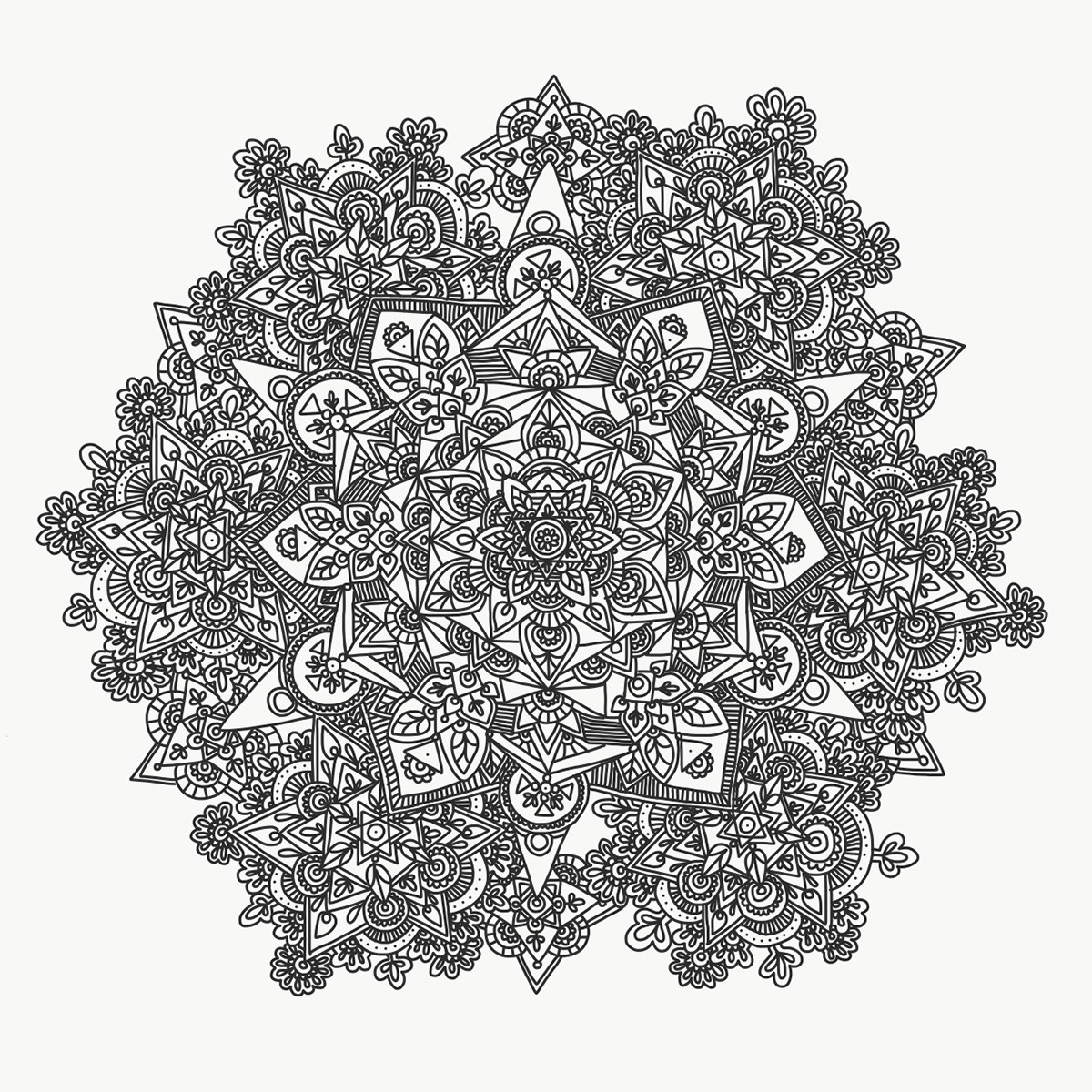 line Drawing  doodle intricate geometric organic
