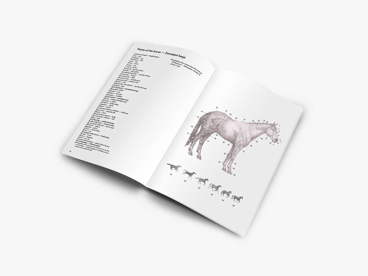graphic horse scientificillustration science biology animalia animalium screenprint poster dictionary
