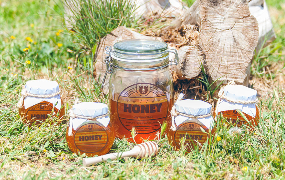 honey natural raw handmade Logotype package spain summer Food  drink miel