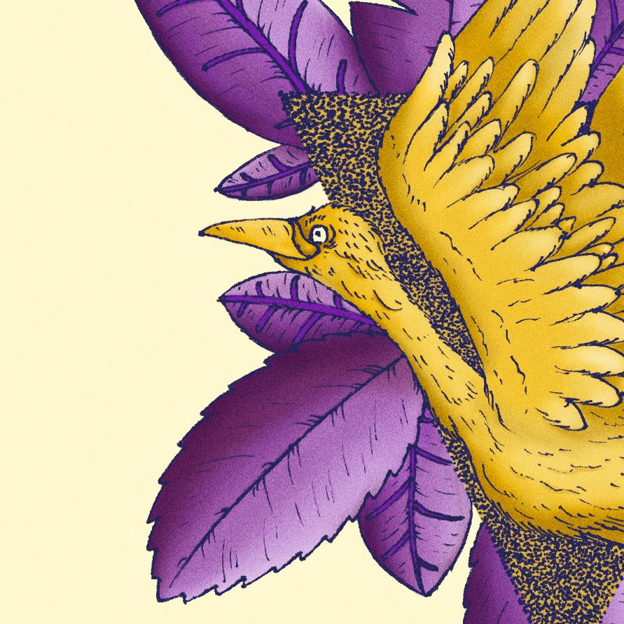 gruya ilustracion dorado gold purple
