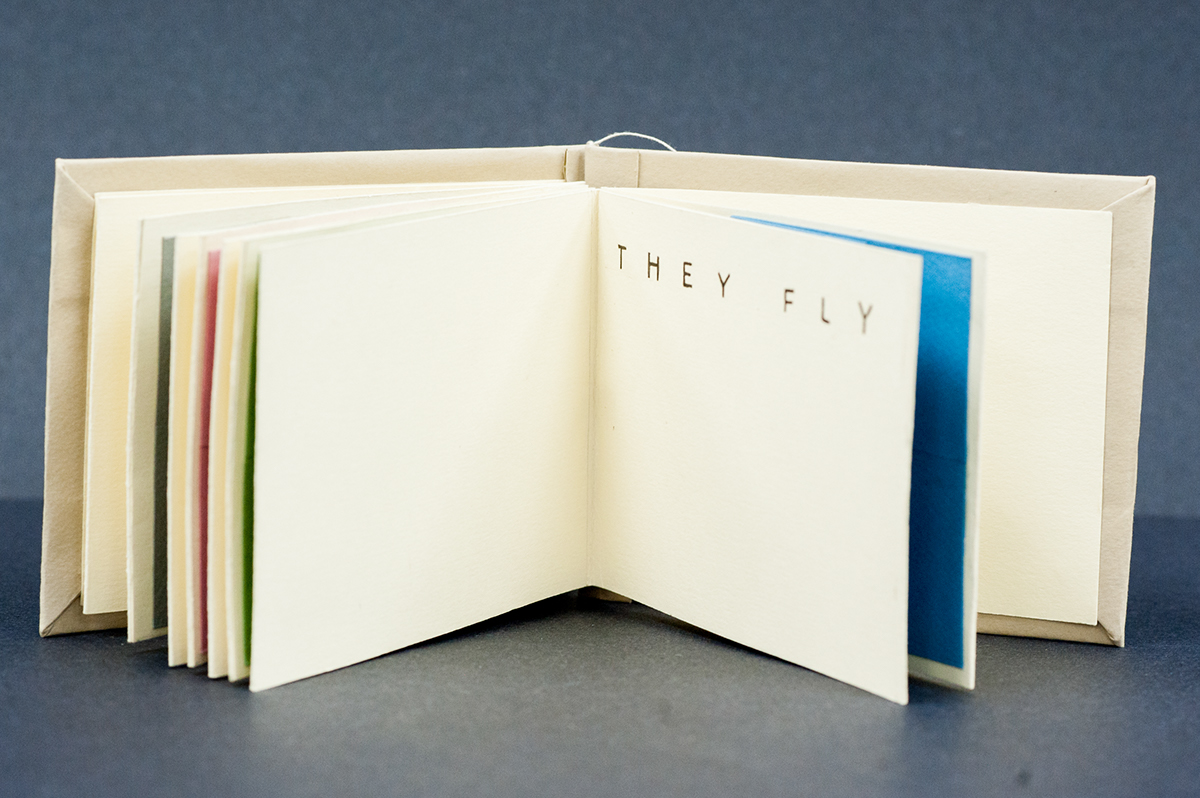 butterflies butterfly death book design book artist book paper folding