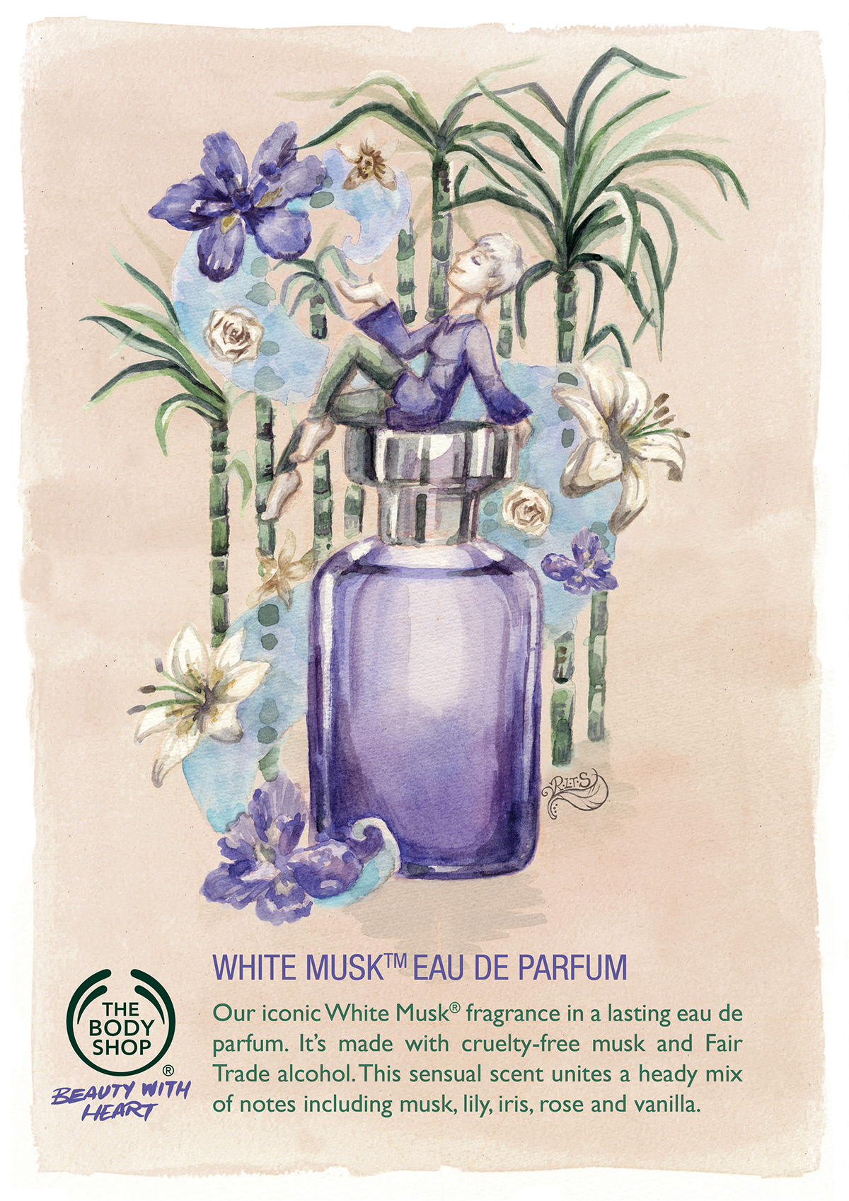 fair trade body shop D and AD poster design graphic Watercolours Nature ingredients plants