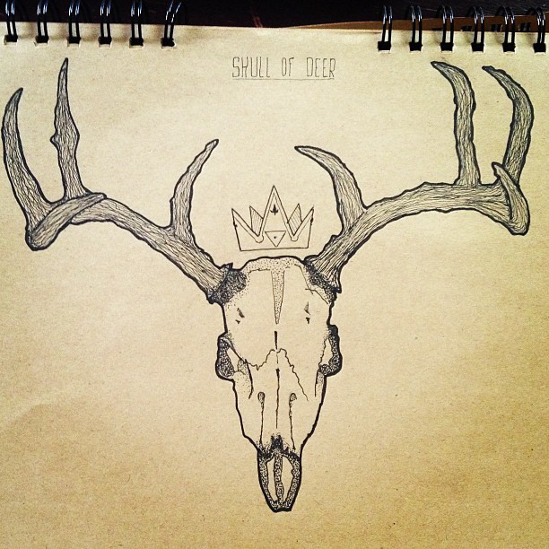 skull deer crane cerf