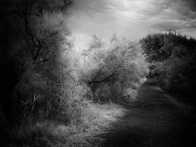 black and white fine art photography Fotografia infrared infrared photography kolarivision Landscape Photography  infrascapes