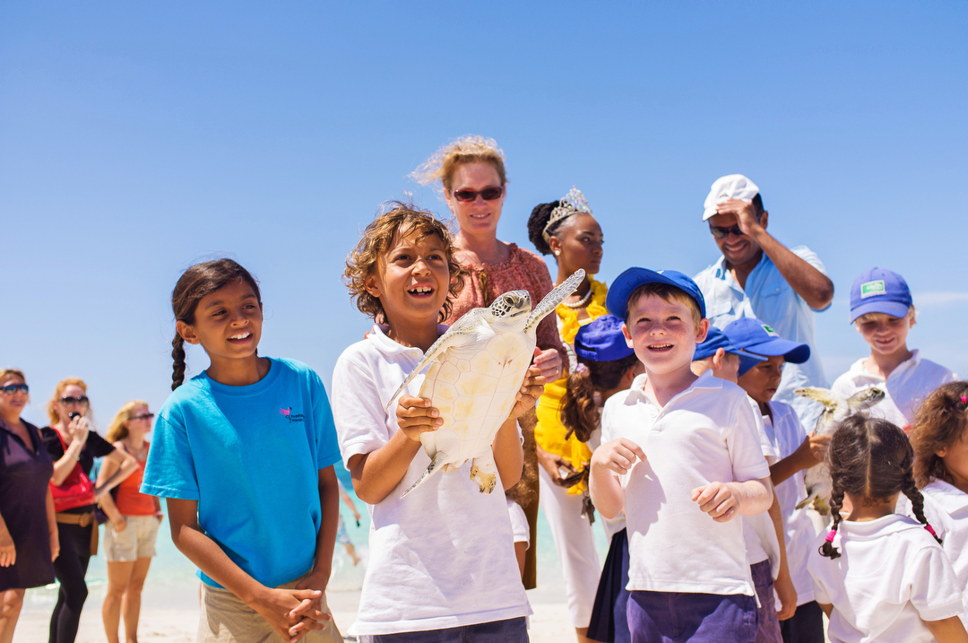 Ecology Nature conservation turks and caicos